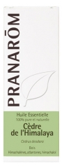Pranarôm Olio Essenziale di Cedro Dell'Himalaya (Cedrus Deodara) 10 ml