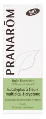 Pranarôm Bio Essential Oil Eucalyptus with Several Flower of Cryptone (Eucalyptuus polybractea ct criptone) 10 ml