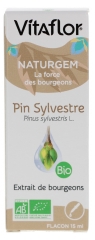 Vitaflor Estratto di Gemme di Pino Silvestre Organico 15 ml