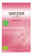 Maternité Tisane Allaitement Arômes Fruits Rouges et Framboise Bio 20 Sachets