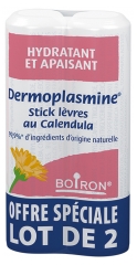Boiron Dermoplasmine Stick Lèvres au Calendula Lot de 2 x 4 g