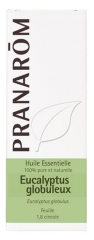 Pranarôm Huile Essentielle Eucalyptus Globuleux (Eucalyptus globulus) 10 ml