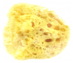 Estipharm Venise Natural Sponge