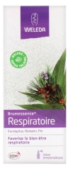 Weleda Brumessence Respiración Spray 50 ml