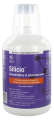 Phytoresearch Silicio Chondroitin &amp; Glucosamin 500 ml
