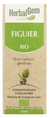 HerbalGem Figuier Bio 30 ml