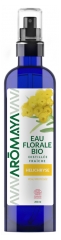 Aromaya Blütenwasser Helichryse 200 ml
