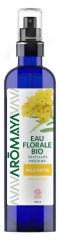 Aromaya &Oslash;kologisk Helichrysum Blomstervand 200 ml