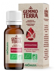 Gemmo Terra Tuoreiden Silmujen Glyseriinauute Luomu 30 ml