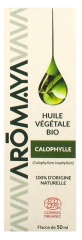 Aromaya Calophyll Plant Oil 50 ml