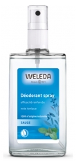 Weleda Desodorante Spray con Salvia 100 ml