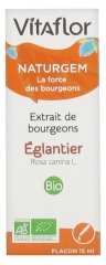 Vitaflor Naturgem Extrait de Bourgeons Églantier Bio 15 ml