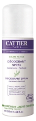 Cattier Active Mist dezodorantas pur&scaron;kalas 100 ml