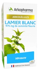 Arkopharma Arkogélules Lamier Blanc 45 Capsule