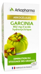Arkopharma Arkogélules Garcinia 45 Gélules