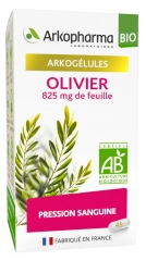 Arkopharma Arkocaps Organic Olive Tree 45 Capsules