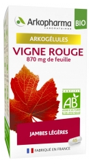 Arkopharma Arkogélules Vigne Rouge Bio 45 Gélules