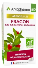 Arkopharma Arkogélules Fragon Bio 45 Gélules