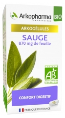 Arkopharma Arkocaps Organic Sage 45 Capsules