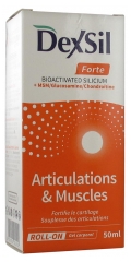 Dexsil Forte Articulaciones + MSM glucosamina condroitina gel corporal Roll-On 50 ml