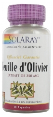 Solaray Feuille d'Olivier 30 Capsules