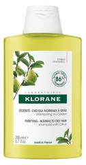 Klorane Purifying - Normal to Oily Hair with Shampoo with Citrus 200ml