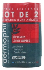 Dermophil Indien Réparation Lèvres Abîmées Stick Lot de 2 x 4 g
