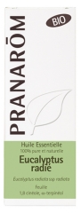 Pranarôm Huile Essentielle Eucalyptus Radié (Eucalyptus radiata) Bio 10 ml