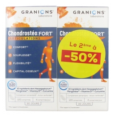 Granions Chondrostéo + Fort Gelenke Pack von 2 x 120 Tabletten