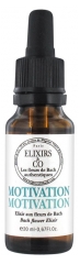 Elixirs & Co Motivation 20ml