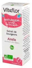 Vitaflor Naturgem Extrait de Bourgeons Airelle Bio 15 ml