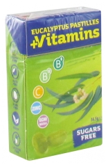 PaperMints Vitamins Eucalyptus Pastilles 36,5 g