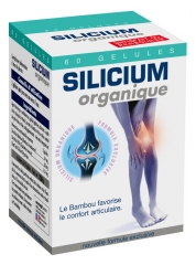 Nutri Expert Silicium Organique 60 Gélules