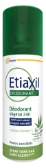 Etiaxil 24H Desodorante de Plantas en Aerosol 100 ml