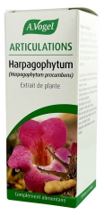 Articulations Harpagophytum Extrait de Plante 50 ml