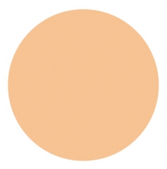 Covermark Poudre Compacte Imperméable 10 g - Teinte : 1A