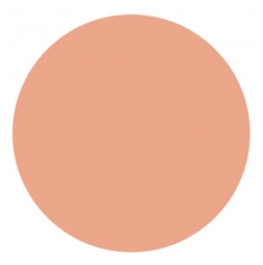 Covermark Waterproof Compact Powder 10g - Colour: 2