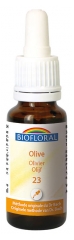 Biofloral Bach Flowers 23 Olive Organic 20ml