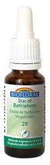 Biofloral Flores de Bach 29 Star of Bethlehem Bio 20 ml