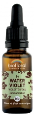 Biofloral Bach Flowers 34 Water Violet 20ml