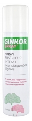 Ginkor Spray Fraîcheur Intense pour Les Jambes 125 ml