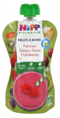 HiPP Fruits à Boire Pommes Raisins Kiwis Framboises dès 12 Mois Bio 120 ml