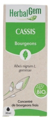HerbalGem Organic Blackcurrant 30ml