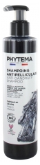 Phytema Haarpflege Bio Anti-Schuppen-Shampoo 250 ml
