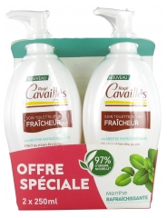 Rogé Cavaillès Soin Toilette Intime Fraîcheur Lot de 2 x 250 ml