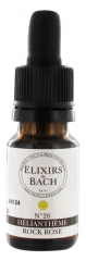 Elixirs & Co Elixirs De Bach N°26 Hélianthème 10 ml