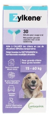 Zylkene 450 mg 30 Gélules