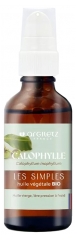Argiletz Calophyll Vegetable Oil (Calophyllum inophyllum) Organic 50ml