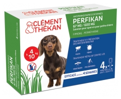 Clément Thékan Perfikan 67 mg/600 mg Petits Chiens 4 Pipettes