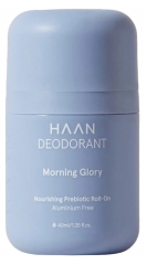 Haan Deodorant Roll-On 40 ml